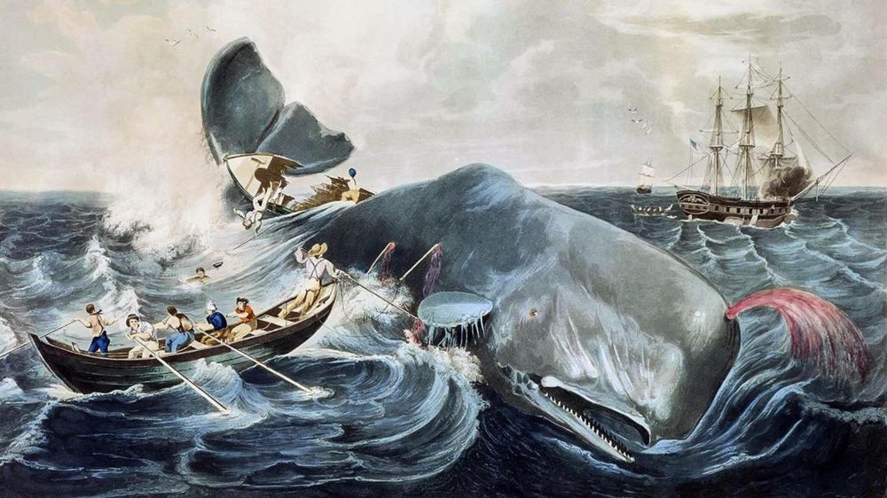 "Moby-Dick" von Herman Melville: Ein Wal von einem Buch