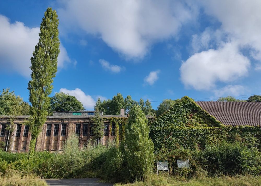 Ein alter Fabrik- und Verwaltungskomplex der Zeche Klosterbusch in Bochum wirkt, grün berankt und mit kleinen Bäumen bewachsen, teils komplett überrwuchert, fast wie ein uralter Tempel am Rande des Urwalds. 