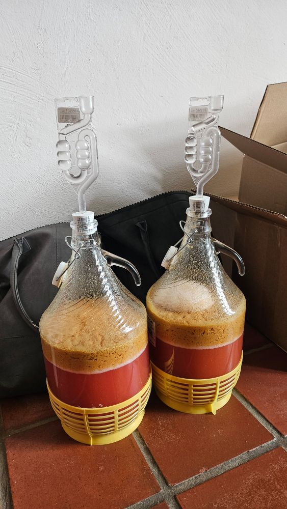 Twee mandflessen met rode vloeistof en bruine schuimkraag op een rode tegelvloer