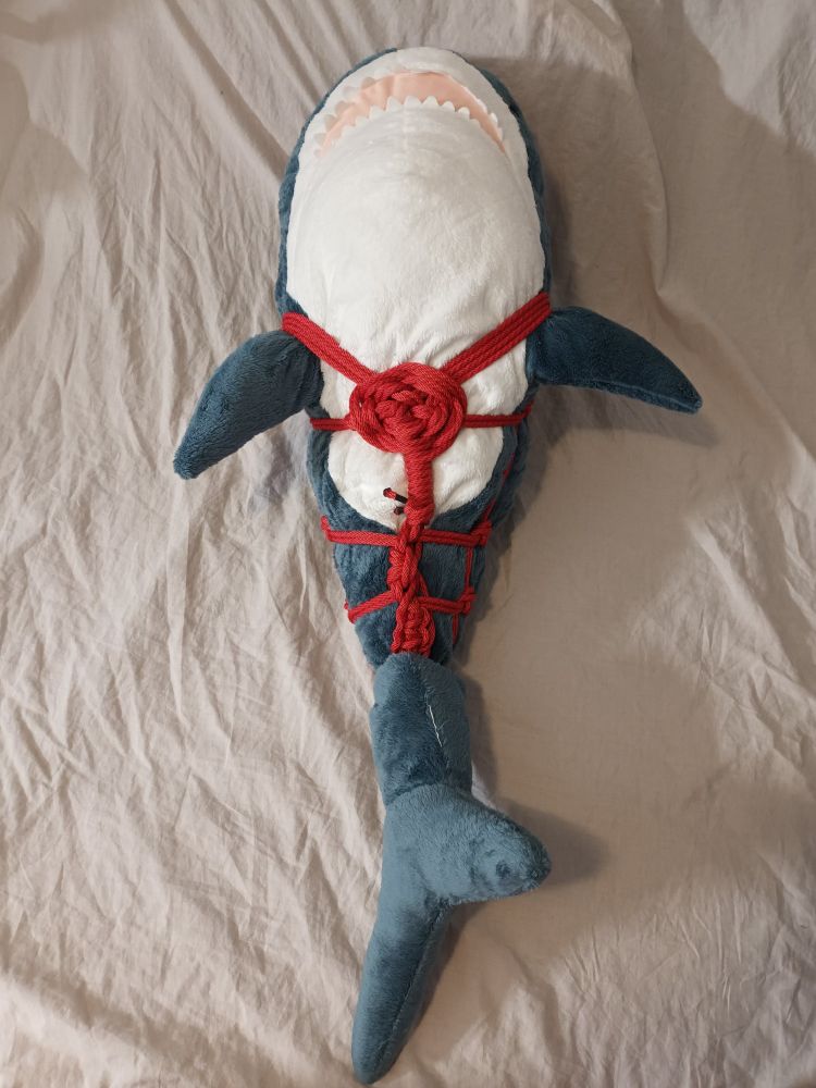 A view of the underside of a large plush shark with a harness of red rope tied around it.