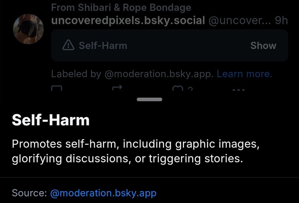 A screenshot of the self-harm label applied to a post depicting shibari.

The label features a definition sourced from @moderation.bsky.app that reads, "Promotes self-harm, including graphic images, glorifying discussions, or triggering stories."