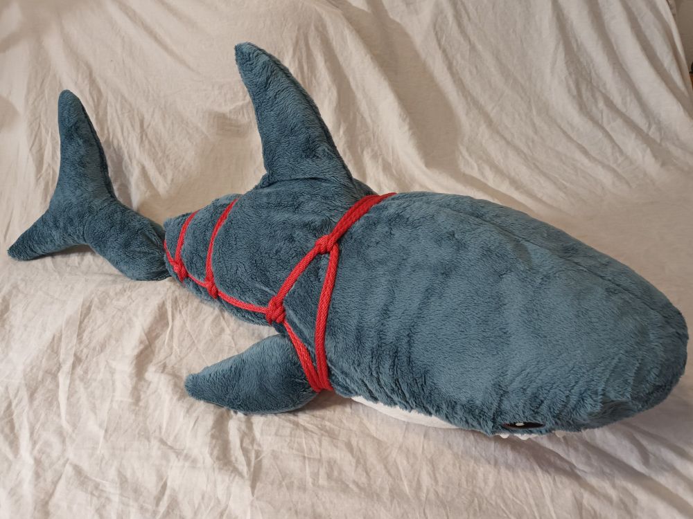 A side view of a large plush shark with a harness of red rope tied around it.
