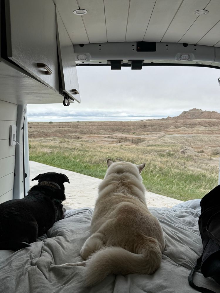 sophie’s two dogs Tucker (on the right) and Jamie (on the left) are sitting in the back of the van on the bed looking at a landscape - they are in the Badlands