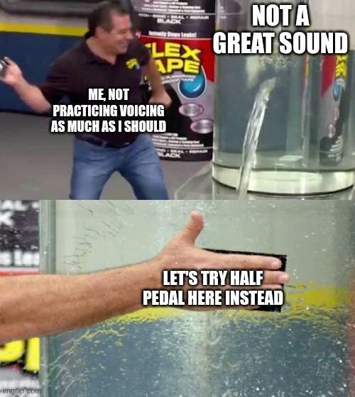 The flex tape meme with not a great sound, me, not practicing voicing as much as I should, and let's try half pedal here instead text.