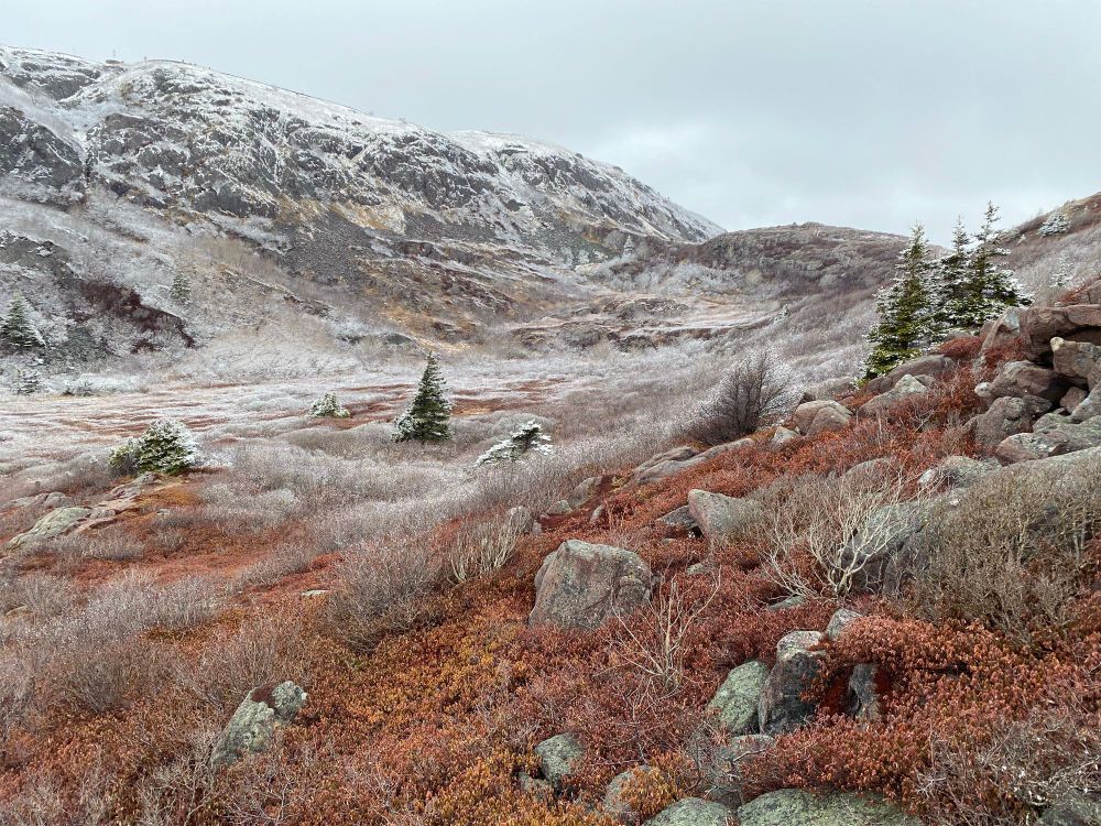 A rocky valley in the spring, with burnt-red bushes, boulders, and scattered evergreen trees touched with snow.