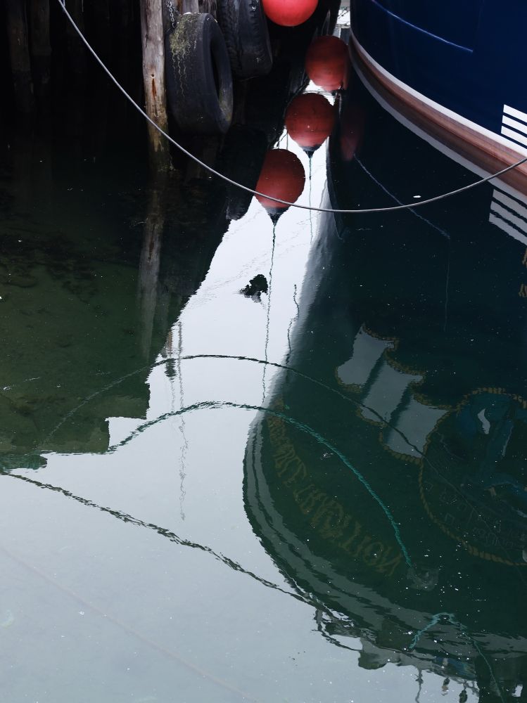 An almost abstract image, looking down into the waters of a port, with the hulls of boats reflected as looming shadows, bright orange floats dangling upside-down, and a flurried blur of bird.
