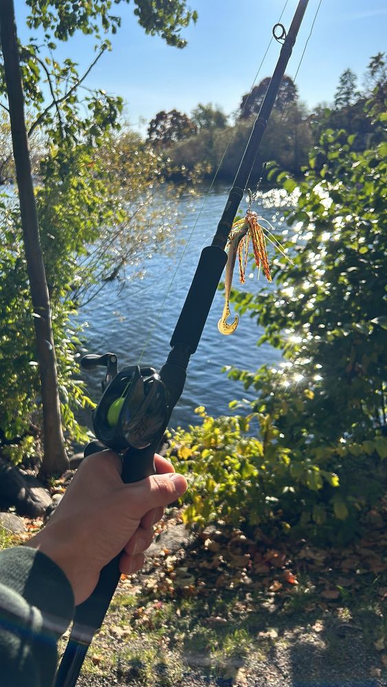 Heavy rod for light lures