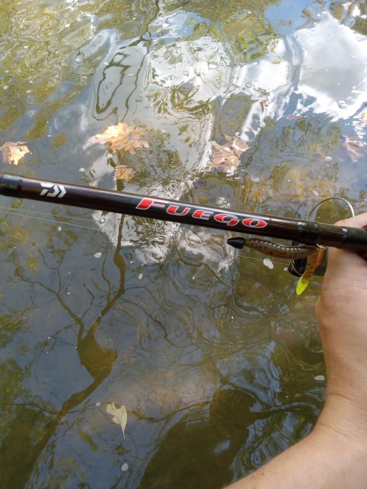 Got a new rod