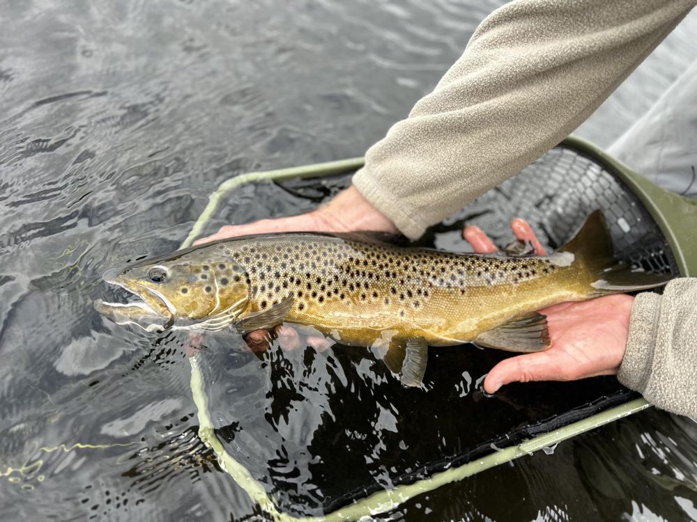 The creek was angry that day, my friends…