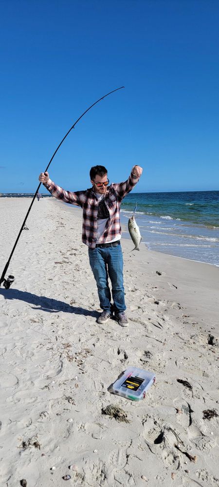 Finally caught my first bluefish…at 39. Been fishing since I was like 4 w my dad.