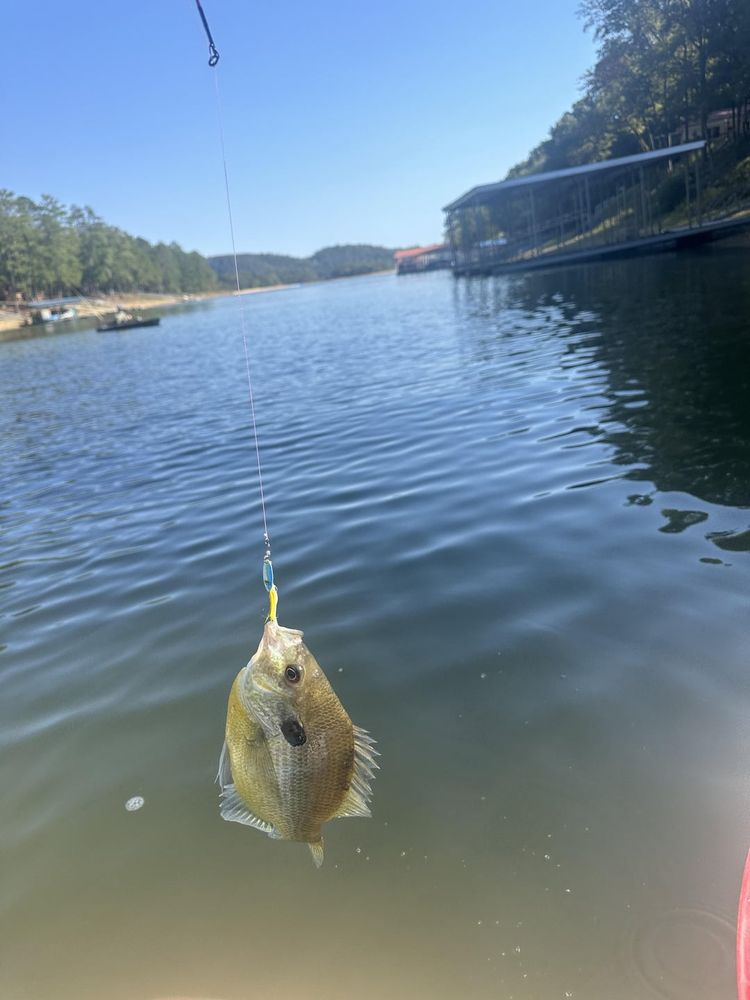 First time fishing in 20 years