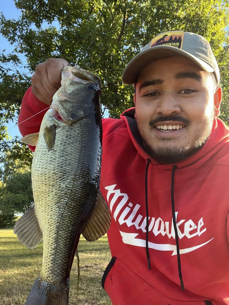 Caught this little pig before work on Thursday forgot to post also first fish on a crank 🤙🏾