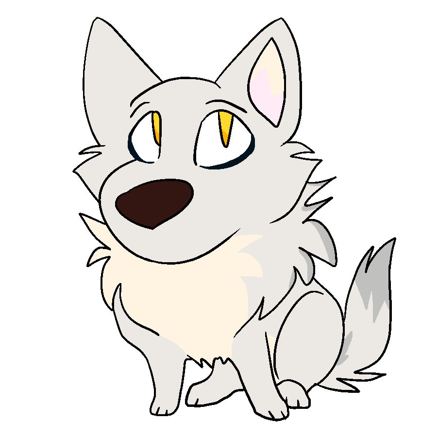the wolf sits, big-snooted