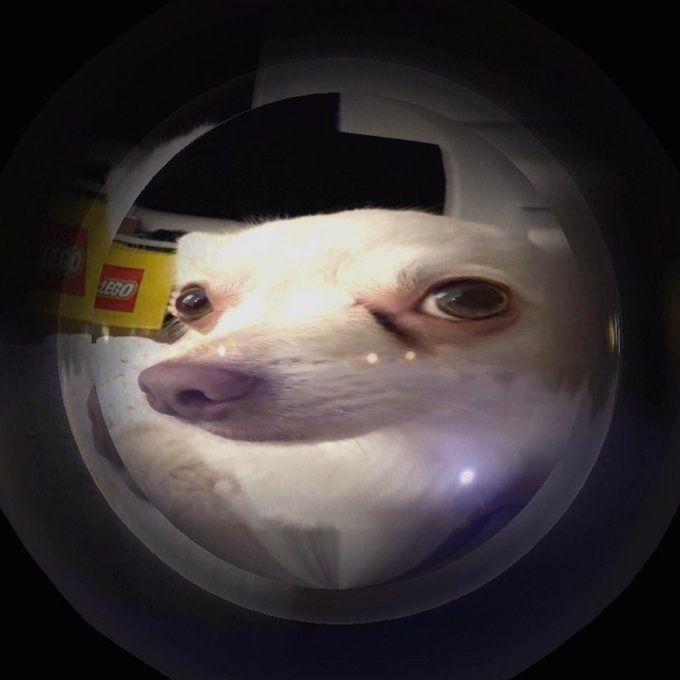 Comment image