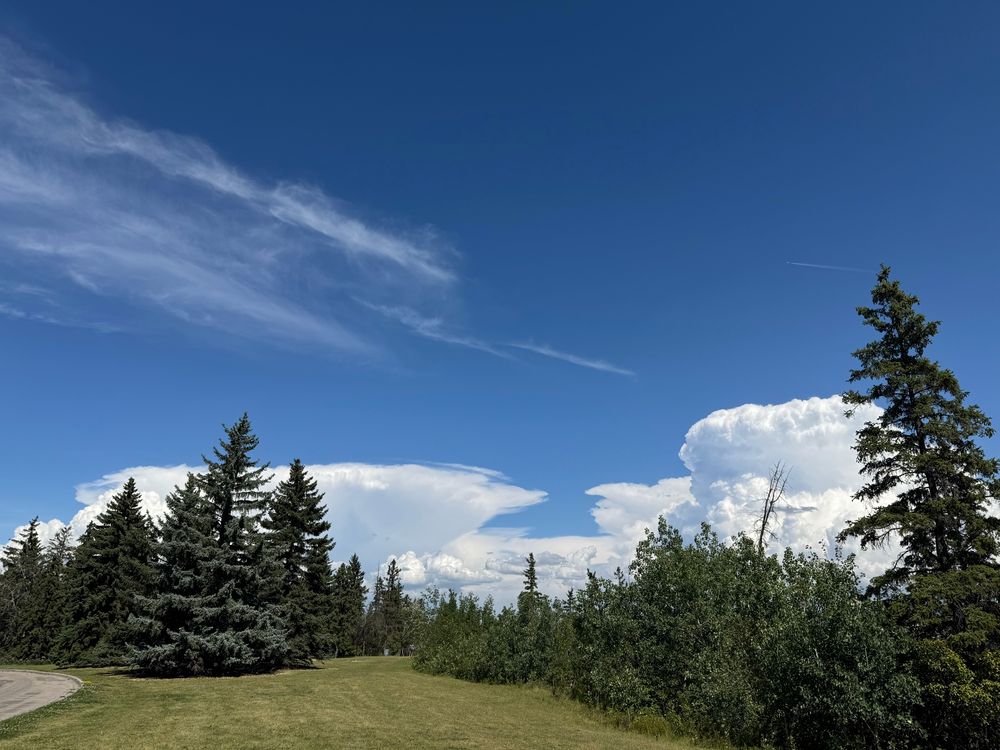 Trees, grass & cool clouds 