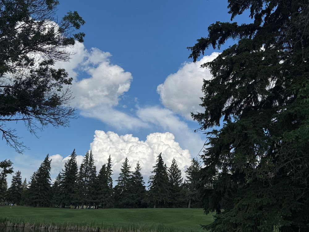 Trees & lovely fairways under storm clouds 