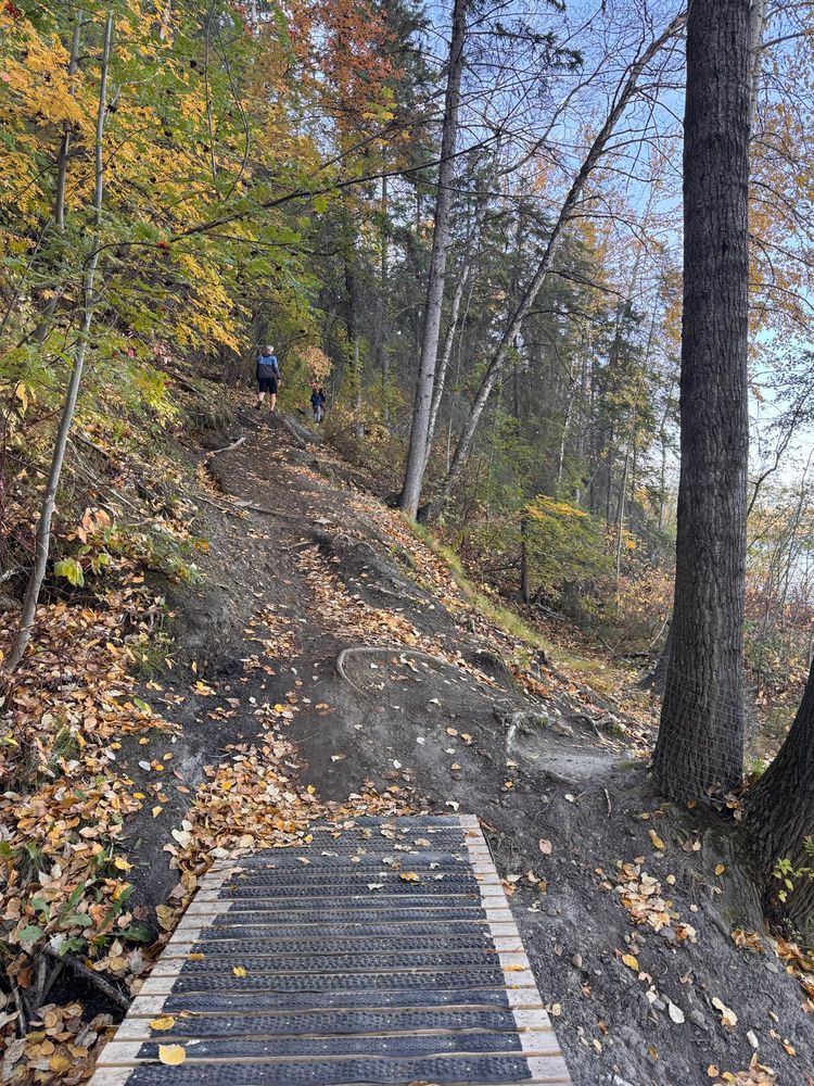Man & 2 boys off in the distance with tire-covered wooden bridge with fall colours abound 
