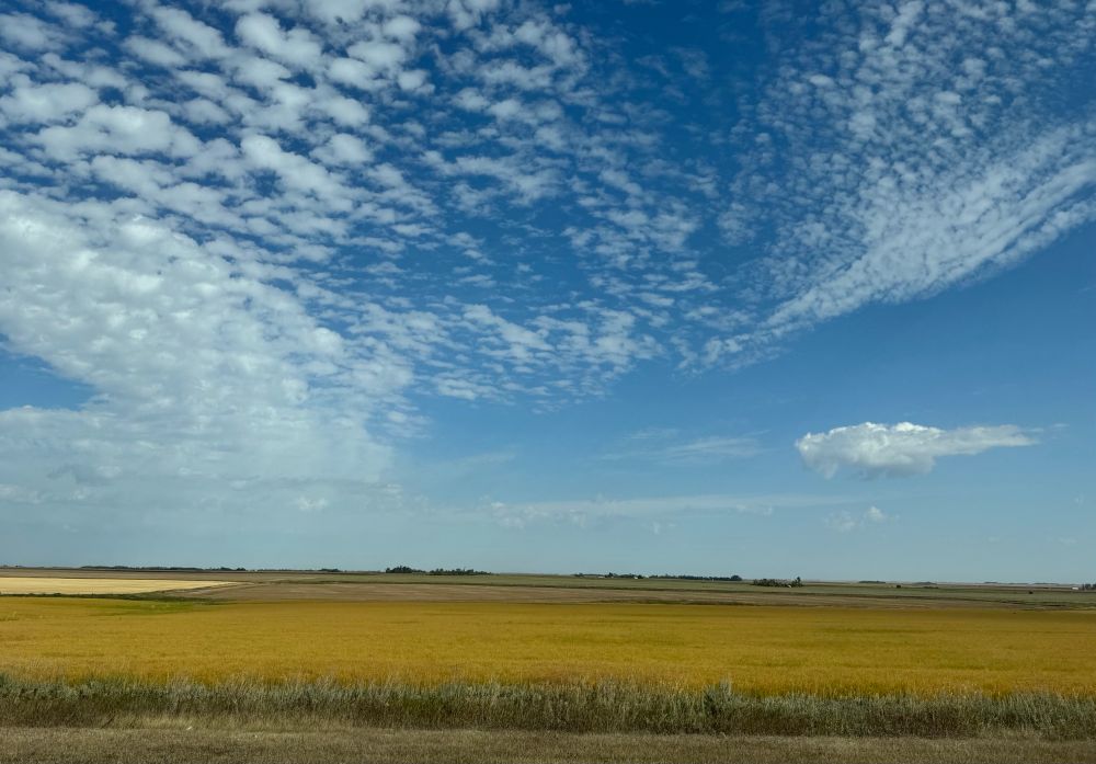 Wispy clouds over field