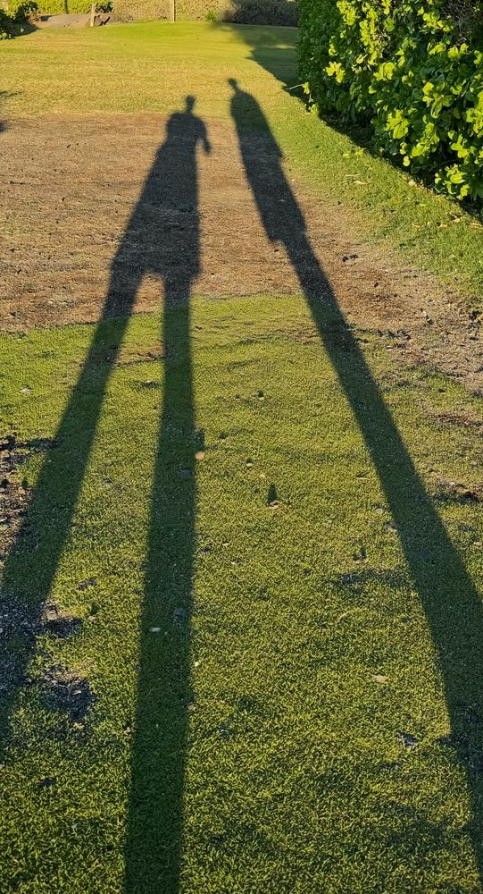 Long shadows of two people 