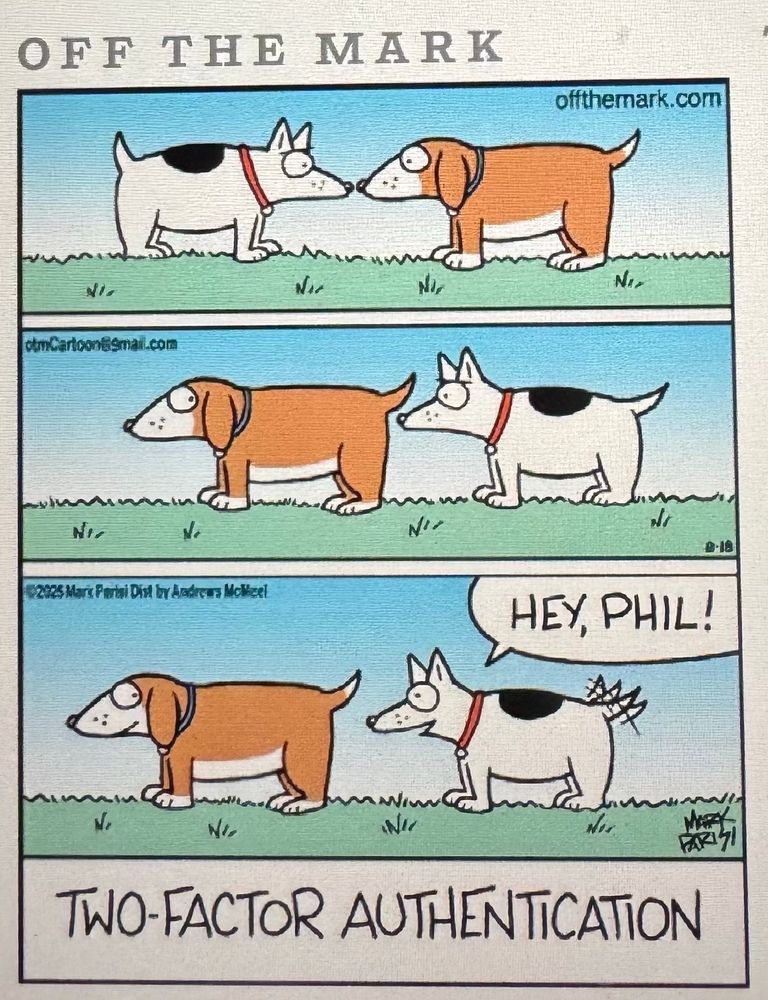 2 dogs, one behind other. Brown dog presents his butt, white dog wags tail in recognition 