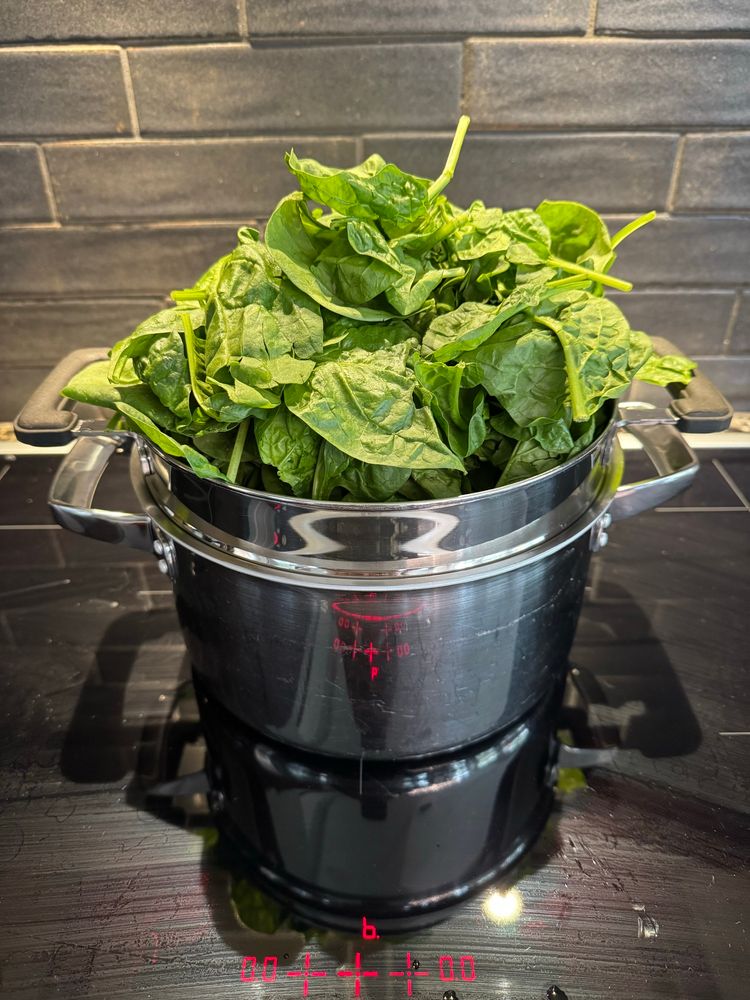 Spinach leaves heaped high in a pot on glass cooktop 
