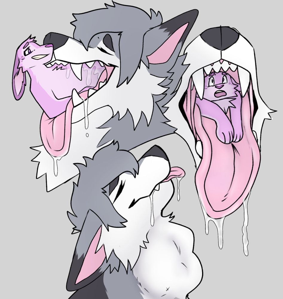 Macro gray wolf swallowing his purple husband whole, with a big throat bulge as he slides down. Commission by @mawsjaws.bsky.social‬