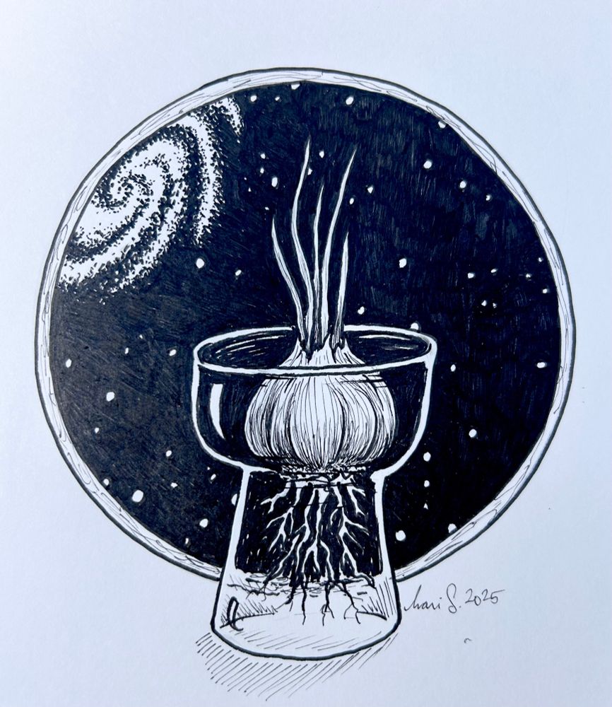Black and white drawing of an onion sprouting in a glass container in front of a circular window, showing a space scape outside with a spiral galaxy.