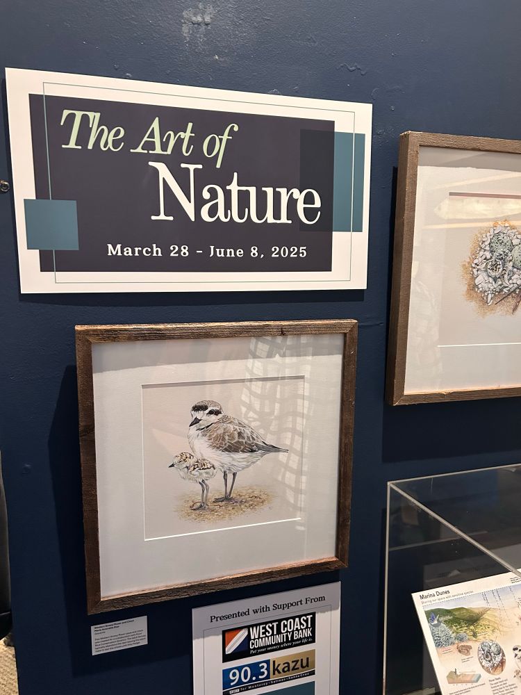 Photo showing a sign for the Art Of Nature exhibit, hanging above a framed painting of a shorebird.
