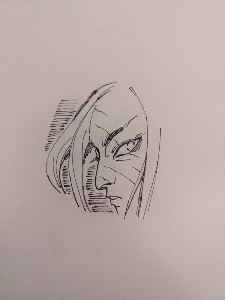 A digital pen sketch of my character, Blue Heron's face in a fish eye perspective. The perspective emphasizes her large forehead and piercing gaze. Jagged scars raked across their face underline their intimidating attitude.