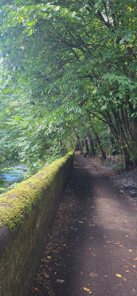 The Water of Leith. Path beside a mossy wall under a line of trees