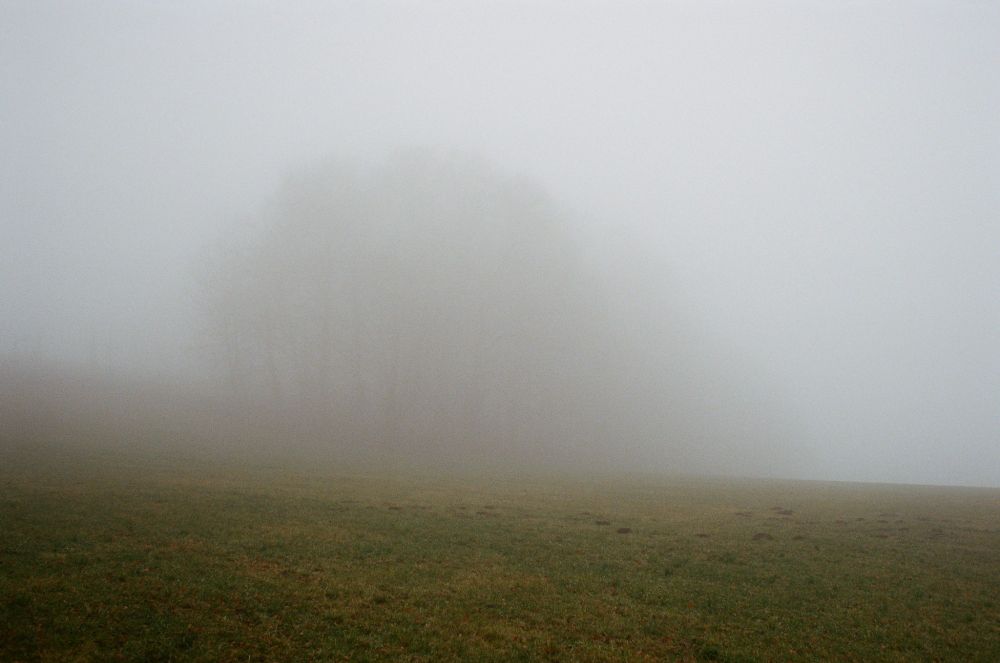 Wetter