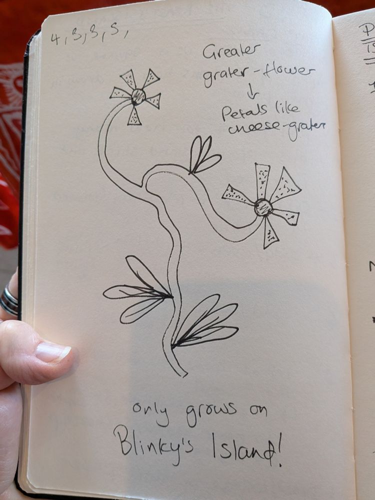 A very rough doodle of a flowering plant labelled as the greater grater flower. The first greater is spelled like greater meaning bigger, and second grater spelled like cheese grater. Because the petals are like mini cheese graters. It has two flowers with five gratery petals each, the leaves with three lines each, and a long thin stem. There's a note telling us it only grows on Blinky's Island.