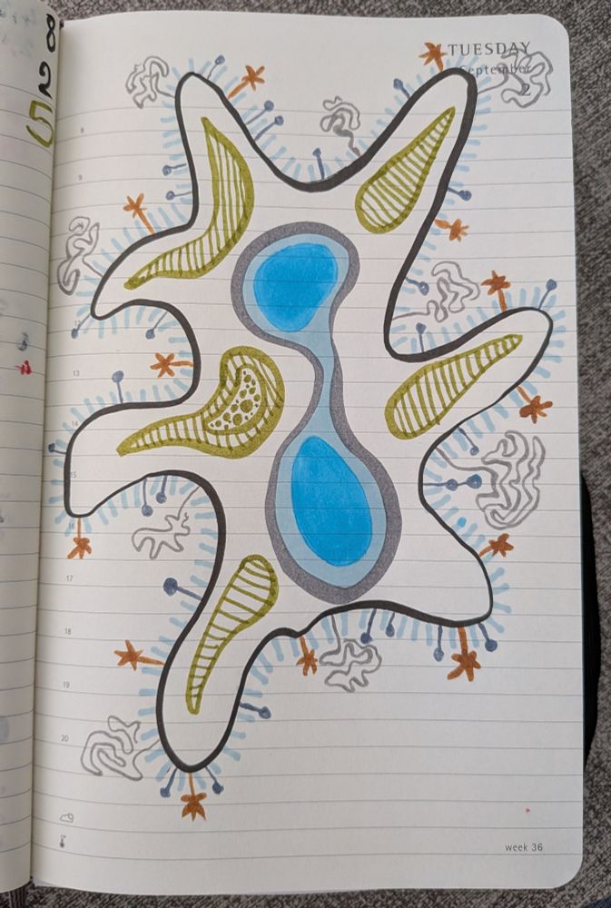 Another cellular doodle like the previous pic but this time it's one big cell taking up a whole page. It has 7 pseudopodia, a double lobed nucleus, 5 stripey internal compartments, and lots of little proteins sticking out of its membrane.