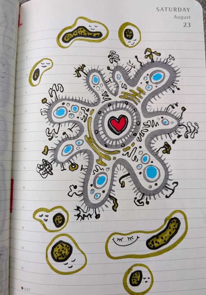 Another cellular doodle, this time showing one big, complex, colourful cell surrounded by smaller, simpler cells. The complicated cell has lots of pseudopodia and membrane proteins, and a big red heart symbol in the middle of the nucleus. The simple cells are smooth ovals, each with a nucleus and a sleepy smiling face on it.