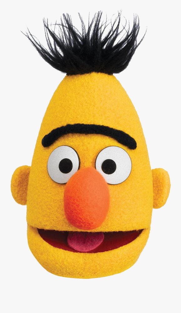 Image of Bert from Sesame Street