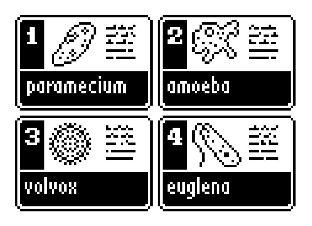 tiny black and white pixel drawings laid out like trading cards. 4 protozoans are depicted: paramecium, amoeba, euglena, and volvox