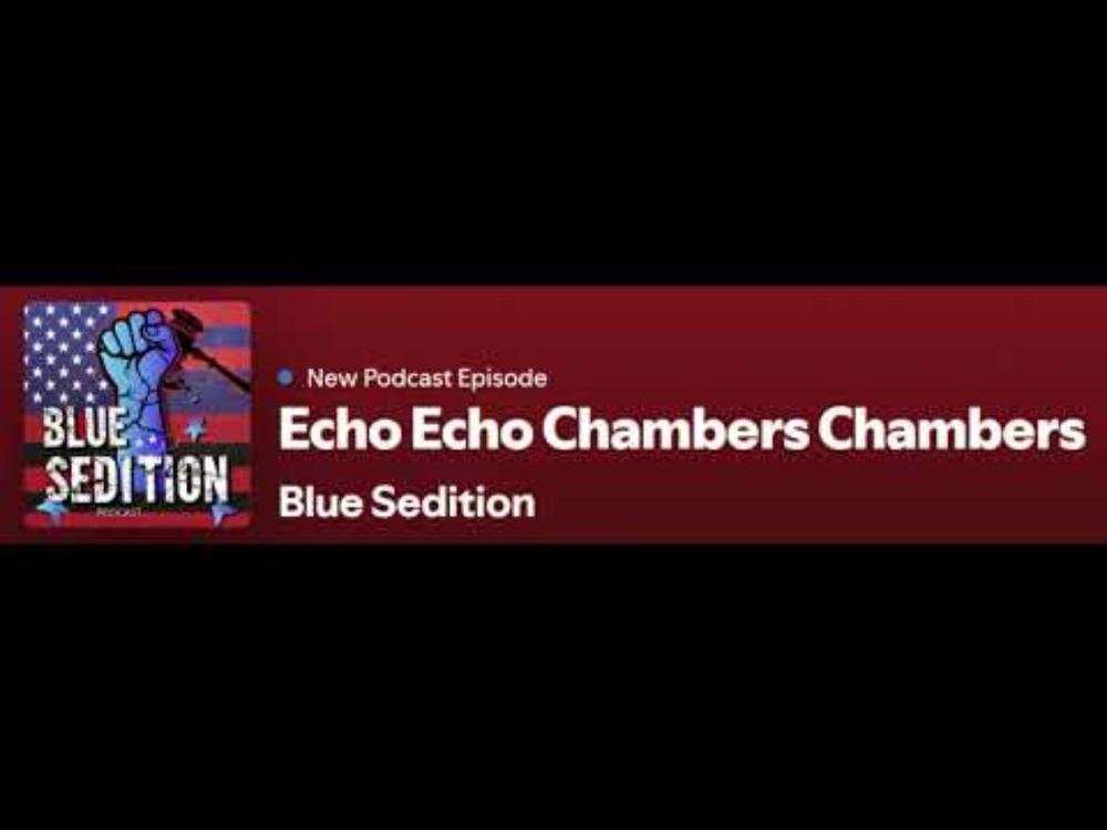 Blue Sedition Podcast - Episode 3 - Echo Echo Chambers Chambers #elonmusk #kamala #trump #election