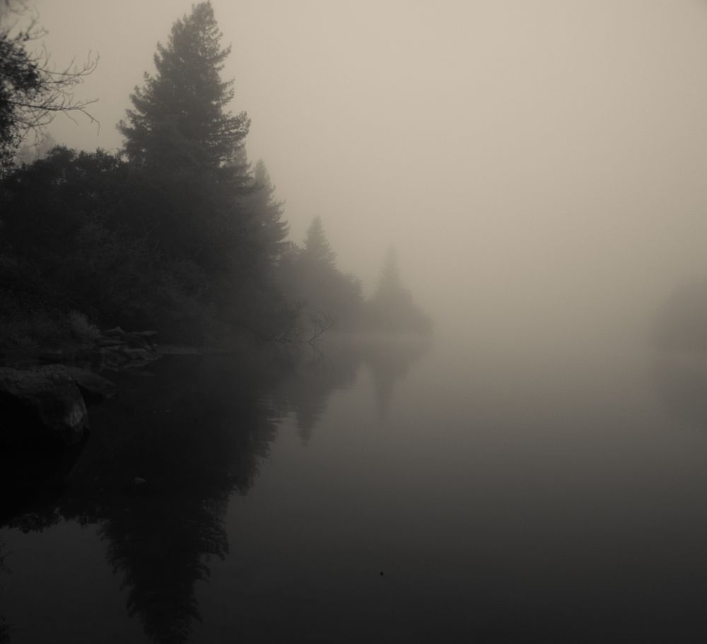 A black and white still lake reflection of trees and a hill, surrounded by early morning mist. 