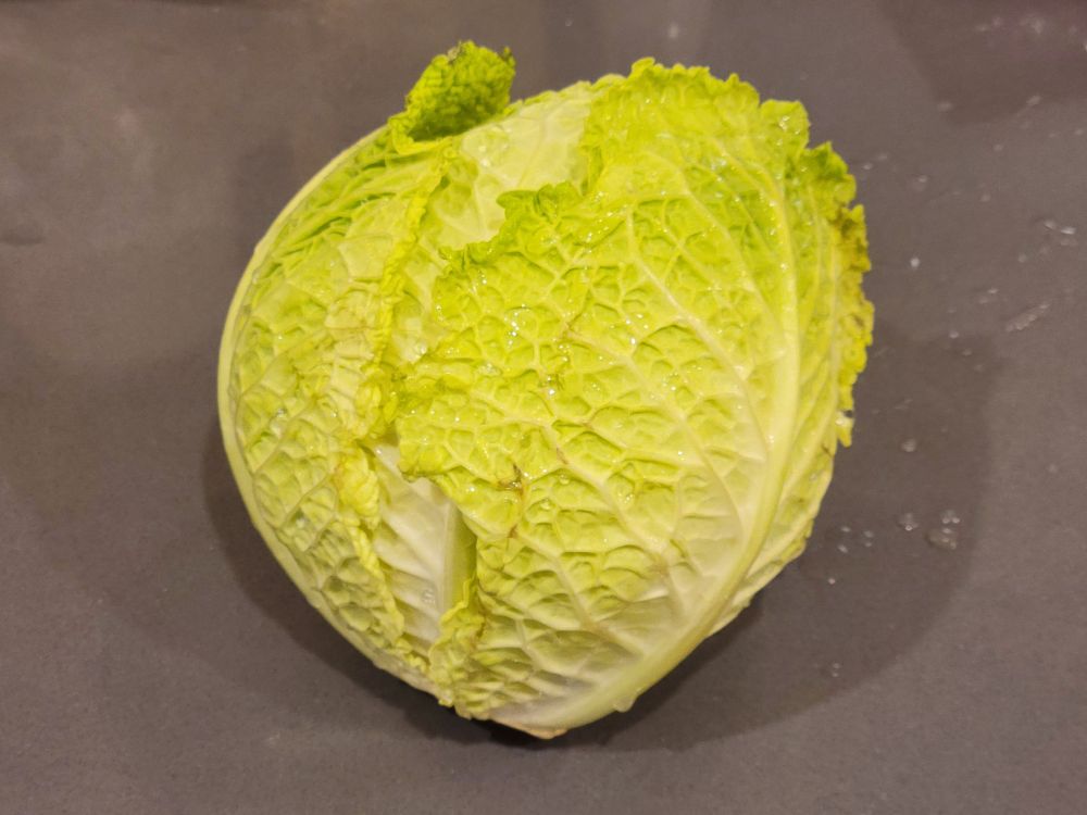 A green Savoy cabbage. 