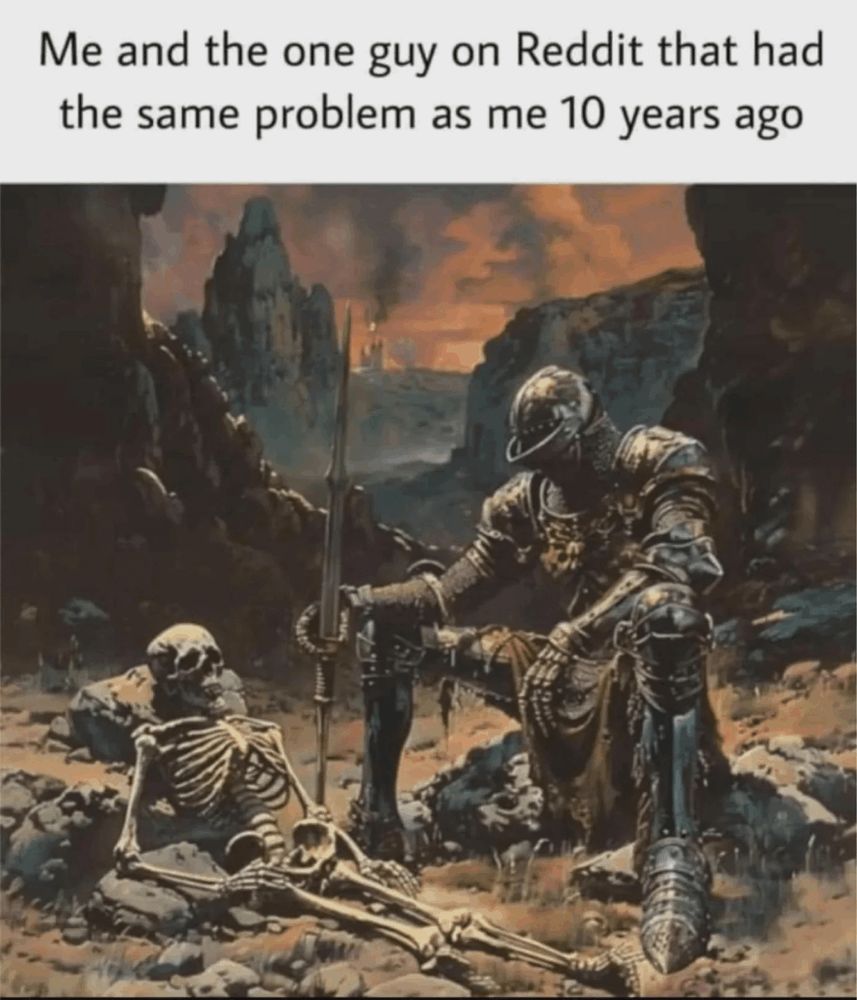 A weary knight slouched on a rock next to a skeleton. The caption reads: me and the one guy on Reddit that had the same problem as me 10 years ago.