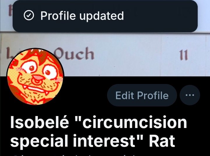 a screenshot of my at the time of posting bluesky profile. Profile Updated is at the top as i had just saved it, with my name set to be Isobelé "circumcision special interest" Rat. hi im a silly stimmy kinky rat who is also very enthusiastically circumcised!