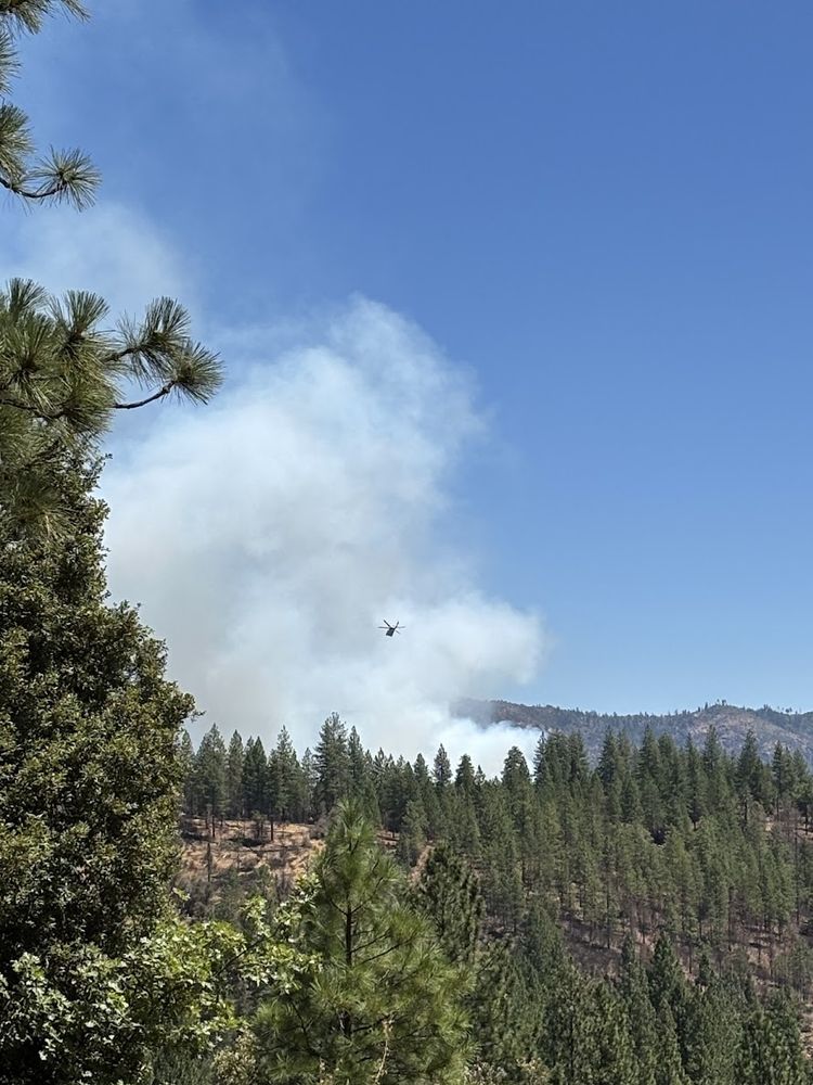 smoke rising from a forest ridge covered in pine trees with a fire helicopter silhouetted against the smoke