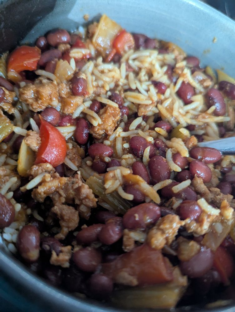 Bowl of red beans and rice