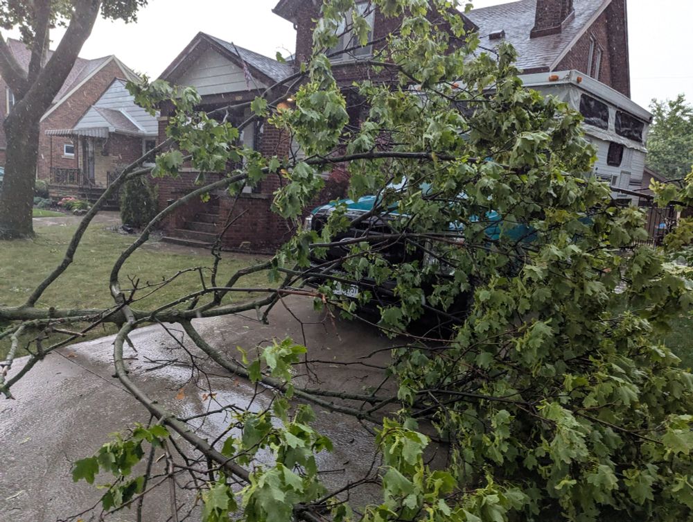 Big branch downed 