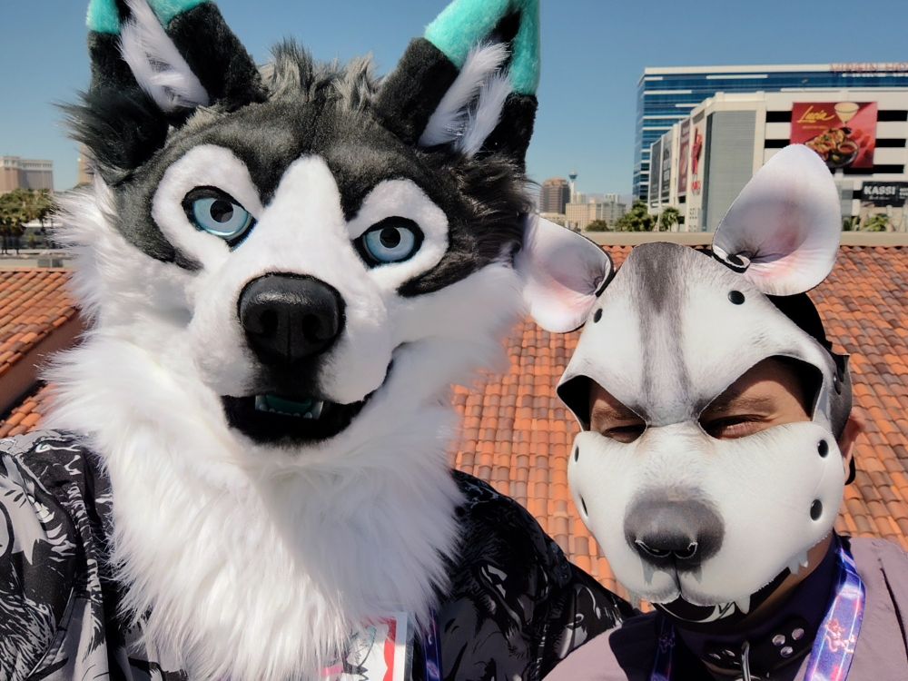 Ceeps Husky in fursuit and Sinhto Coyote in puphood smiling for the camera with a bright sunny Las Vegas backdrop. 