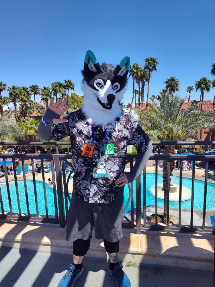 Ceeps Husky on a balcony, waving at the camera with a warm palm tree and swimming pool backdrop. 