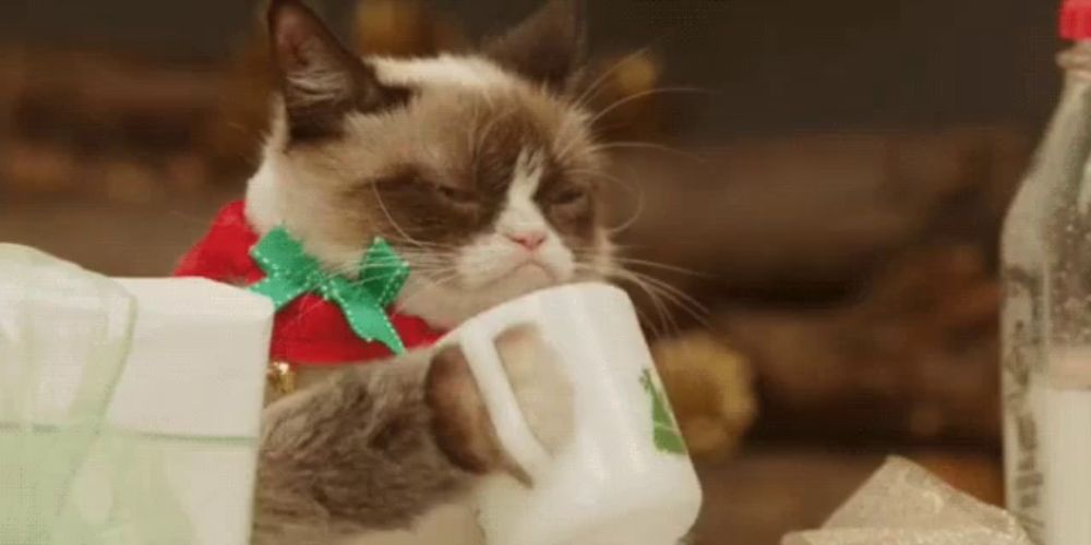 a grumpy cat is wearing a santa hat and holding a cup of coffee .