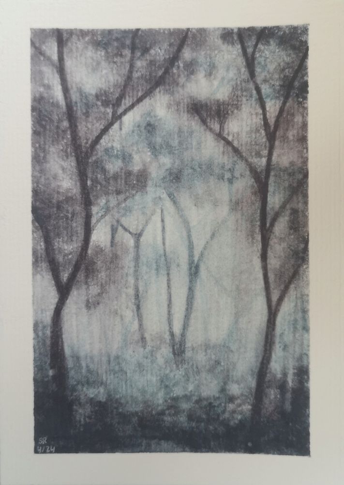 Ein nebliger, etwas düsterer Wald; er wirkt diesig