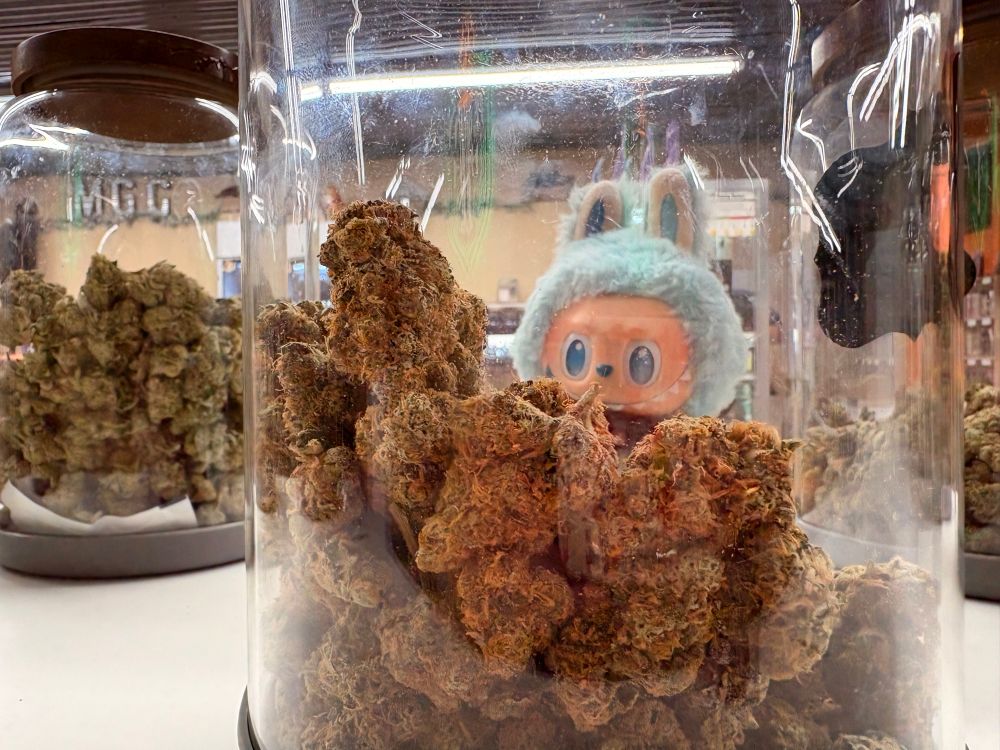 Labubu admiring some kind buds