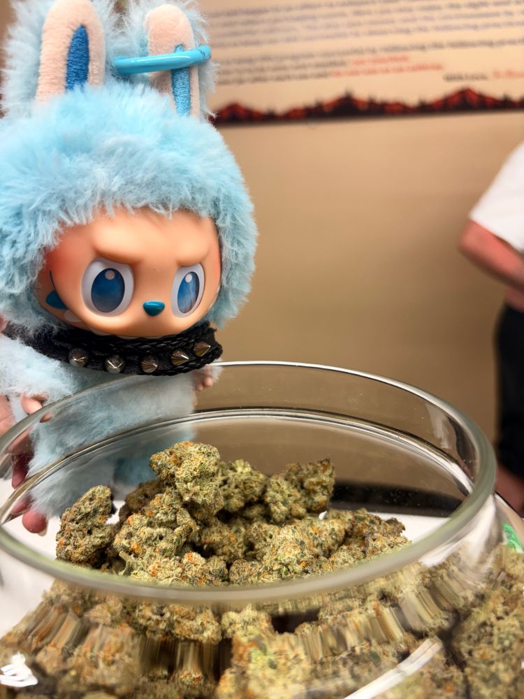 Labubu observing some kind buds 
